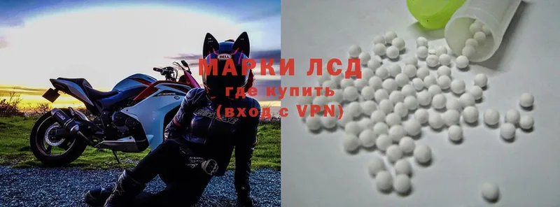 купить наркотик  Кондрово  Лсд 25 экстази ecstasy 